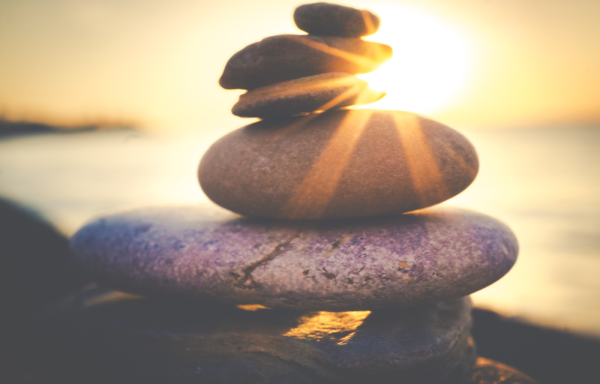 Novavida, el lugar donde encontrar el equilibrio